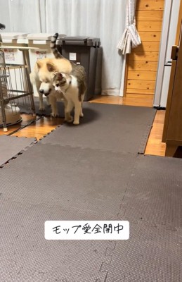 アタックする光太くん