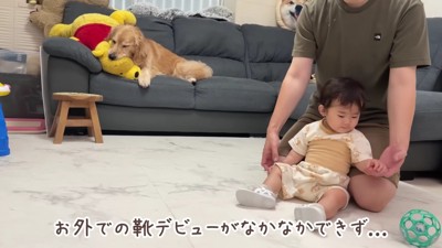 現在歩行練習中!