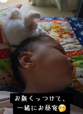 寄り添って眠る小型犬と赤ちゃん