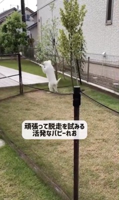 脱走にトライ!