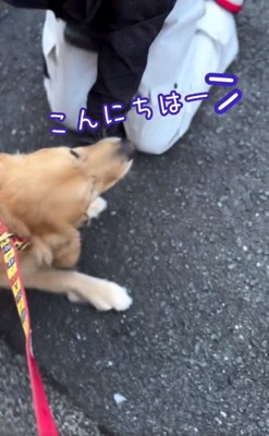 声を掛けられるゆずくん