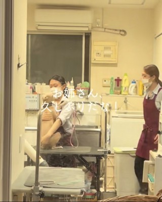 お姉さんにハグする犬と、もう1人歩いてくる別のお姉さん