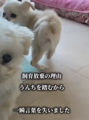 放棄理由にショックを隠せない…