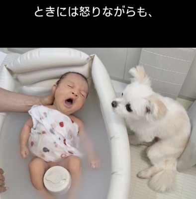 沐浴も見守ります