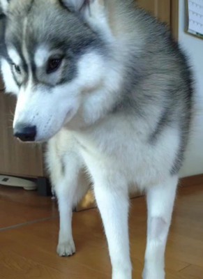 ご飯を食べ終わると…