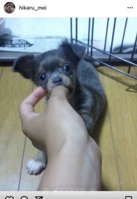 親を説得してお迎え