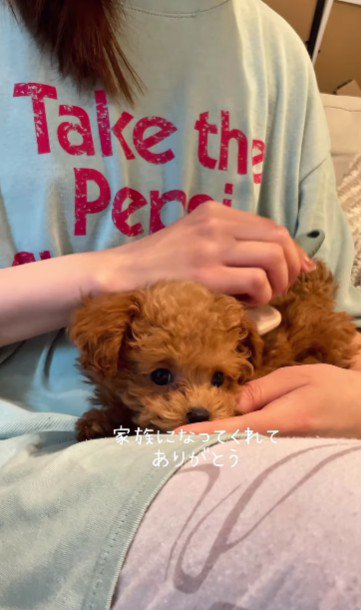 今ではすっかり甘えん坊♡