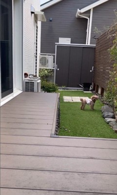 お父さんの帰りを待つティナちゃん5