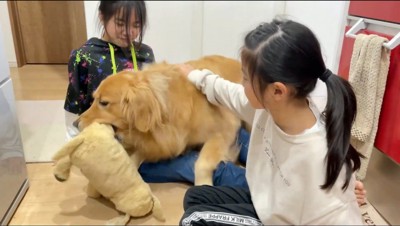 黒い服を着た女の子にぬいぐるみを渡される犬