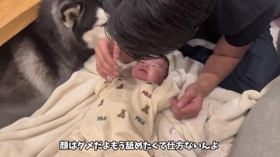 「赤ちゃん大丈夫？」