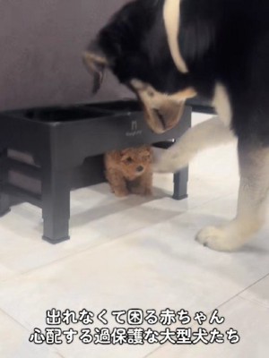 「今助けてあげるね！！」