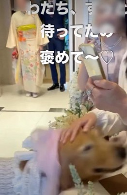 あちこちでごあいさつ
