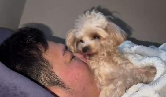 パパのことが大好き