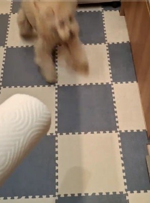 荒ぶる姿にクスッ♪