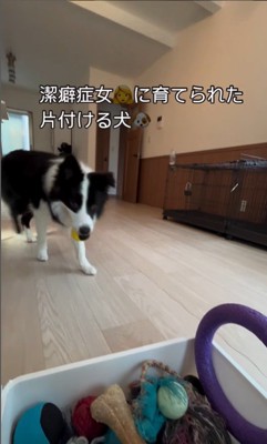 ボールを片付けるサンゴくん