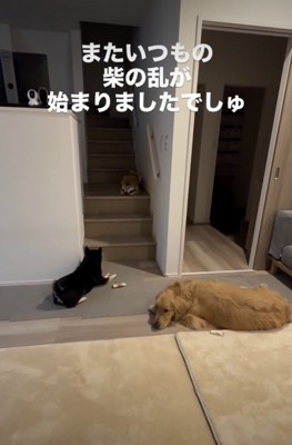 「また始まっちゃたぁ…」