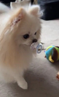 尊さ限界突破♡