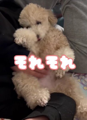 さらに甘えん坊を極めた