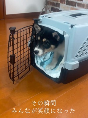 愛され力にホッコリ