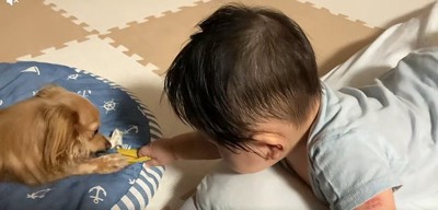 おもちゃに手を伸ばして…