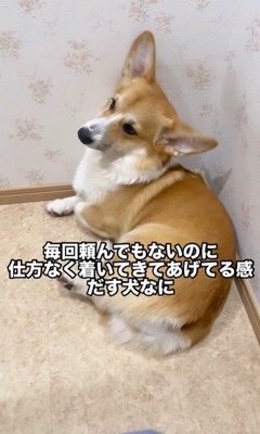 トイレについて来たこまよちゃん3