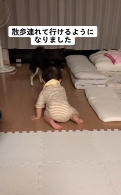 ぶつかりそうになるふたり