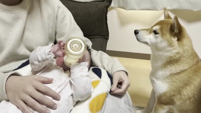 ミルク終わるまで待機