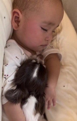 ベアちゃんが添い寝♡