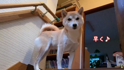 パパさんと一緒にルンルンで寝室へ♪