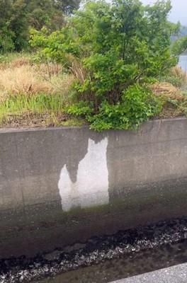 ブロック塀に浮かびあがるウィルくん