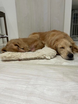 一緒にお昼寝♡