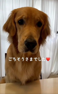 完食した暖くん