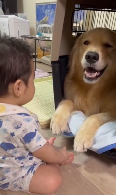 オレオくんと赤ちゃん