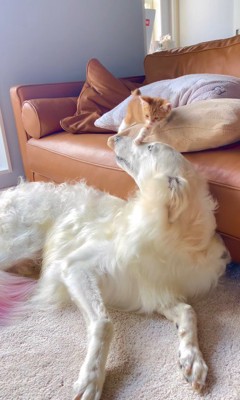 ちょっかいを掛けています!