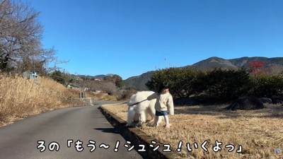 シュシュちゃんも素直です♡