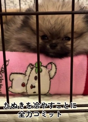 いろいろ試してみた