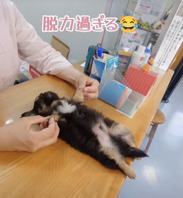 「されるがまま脱力系男子」の真髄