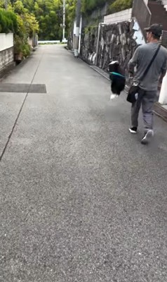 おじさんとお散歩中のルナちゃん4