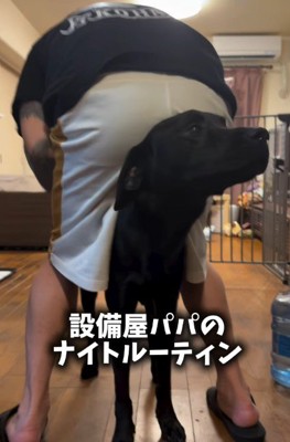 もちろん太陽ちゃんとも仲良し
