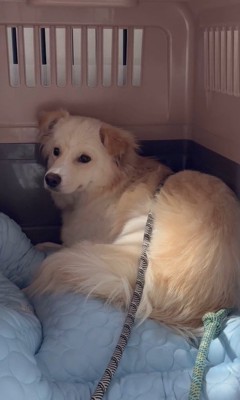 ぼーちゃんの変化2