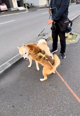 停止するぽんたくん