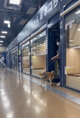 そらくんとの出会いとその後の様子4