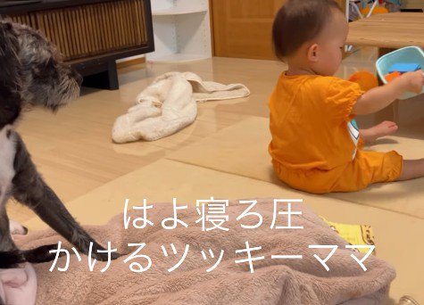 「そろそろ寝なさい」とじーっ