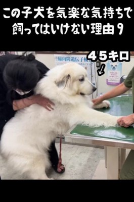 大きくなっても怖がりさん!!