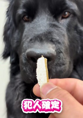 詰めが甘かった