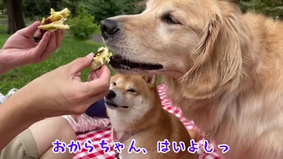 2匹もおやつタイム