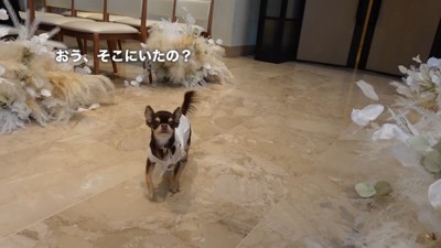 ゲスト席のお友達を発見