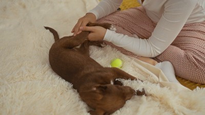 コミュニケーション