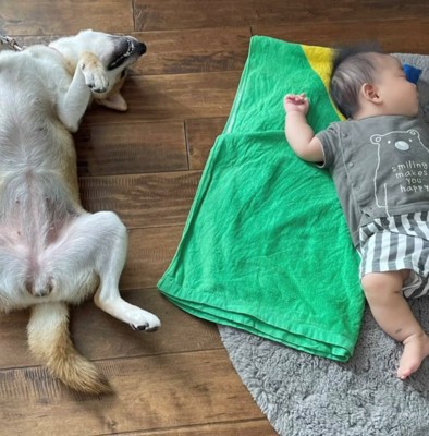 寝る赤ちゃんとへそ天の犬