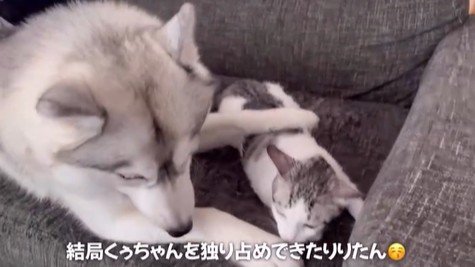 くぅちゃんを離さないりりたん7